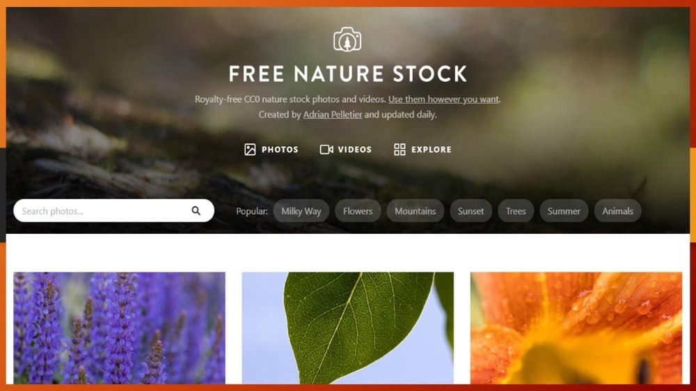 alt=Free Nature Stock Free Stock Video Resources "